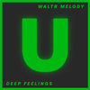 Deep Feelings (Original Mix) - WaltR Melody