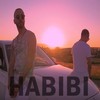 Habibi - DJ Flow&Young Zerka