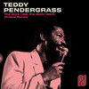 The More I Get, the More I Want (D-Nice Remix Instrumental) - Teddy Pendergrass&D-Nice