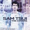 Don't Stop Believin' - Sam Tsui