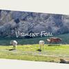 Marinus - Joram Wesnel