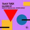 Amazonas (Seel Remix) - Taavi Tuisk&Seel