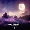 End of the Day - Benzoo&Ebrax