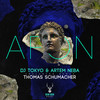 Afon (Thomas Schumacher Remix) - DJ Tokyo&Artem Neba