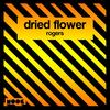 Rogers - Dried Flower