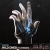 Wild Ones - Asonn&Strngrs