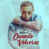 Cuando Volveras (feat. BONY) - polancgraphs&BONY