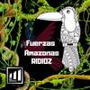 Fuerzas Amazonas - Ridioz