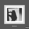 Darkness (Explicit) - Plxsko