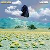 Levitate - Nite Lite