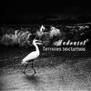 Terrores Nocturnos - Hedonist&David Guther