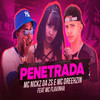 Penetrada (Explicit) - Mc Flavinha&BNB No Beat&MC Nickz da ZS&MC Dreehzin