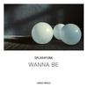 Wanna Be - Splashfunk