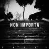 Non Importa - Seany126&Carl Brave