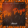 Pic Pega (Explicit) - DJ FERNANDO 011&DJ Jhow ZS&Mc Denny&Mc Flavinho