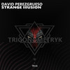 Strange Illusion (Original Mix) - David Perezgrueso