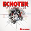 Big Swing - Echotek