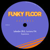 Experience (Original Mix) - Lebedev (RU)&Luciano FM