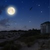 Floating Fantasy - Rain Sounds&instrumental&Life Sounds Nature