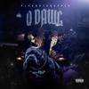 Q Dawg (Explicit) - Plug Not A Rapper