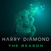 The Reason (Extended) - Harry Diamond