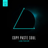 Can’t Take It From Me - Copy Paste Soul