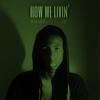 How We Livin' - Calvin Fowler&Slade