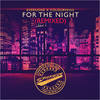 For the Night (Akkai Remix) - Evernone&Colourveins&Akkai