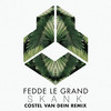 Skank (Costel van Dein Remix) - Fedde Le Grand&Costel Van Dein