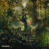 Surfing The Enigma - Makolly&Okta