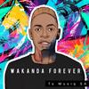 Wakanda Forever (feat. Fanie & Fankie) - TS Musiq SA&Fanie&Fankie