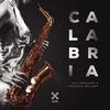 Calabria (Club Mix) - Cat Dealers&Groove Delight