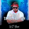 Caralh Ta Mó Frio Ein Funk - WZ Beat