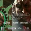 Crimedemic NYC (feat. Powerule, Kurious & Mighty Buda) (Explicit) - Toast187&Powerule&Kurious&Mighty Buda