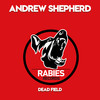 Dead Field - Andrew Shepherd