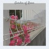 Garden of Roses - Chameleon Music