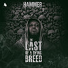 Repercussions (Explicit) - Hammer of The Last Two&Kwaw Kese&Worlasi