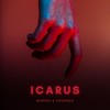 Icarus - Crowned&Bareon