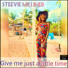 Give Me Just a Little Time - Steevie Milliner