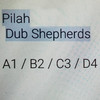 B2 - Dub Shepherds&Pilah