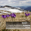 Lost (Gorm Sorensen Remix) - Jason Bradberry&Gorm Sorensen