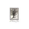 Smoke In Our Lights - The Avett Brothers