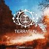 Travel (Original Mix) - Terrasun