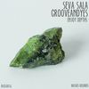 Enjoy Dephts (Original Mix) - Seva Sala&GrooveANDyes