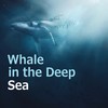 Whale in the Deep Sea - Danto