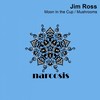 Mushrooms (Original Mix) - Jim Ross