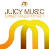 Tokyo Connection (Original Mix) - DJ Shu-ma&Oliver Schmitz