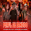 Perfil de Bandido (Explicit) - MC Di Magrin&MC Trovão&MC 2T DA VF&Laryssa Real