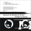 Reign In Blood (Original Mix) - Gabeen&Matthew Bomb