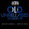 Never Say Never (Original Mix) - DeeRiVee&Gabriell